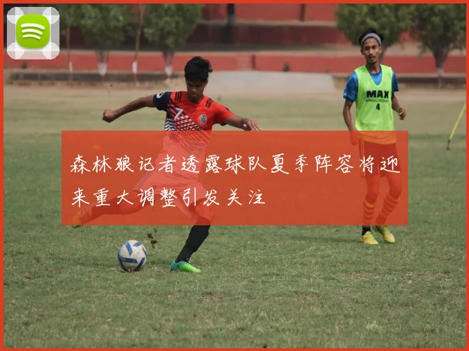 森林狼记者透露球队夏季阵容将迎来重大调整引发关注