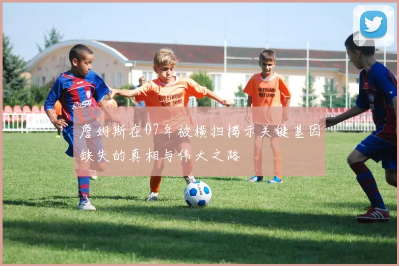 詹姆斯在07年被横扫揭示关键基因缺失的真相与伟大之路