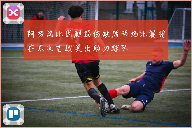 阿努诺比因腿筋伤缺席两场比赛将在东决首战复出助力球队